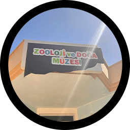Zooloji Ve Doğa Müzesi