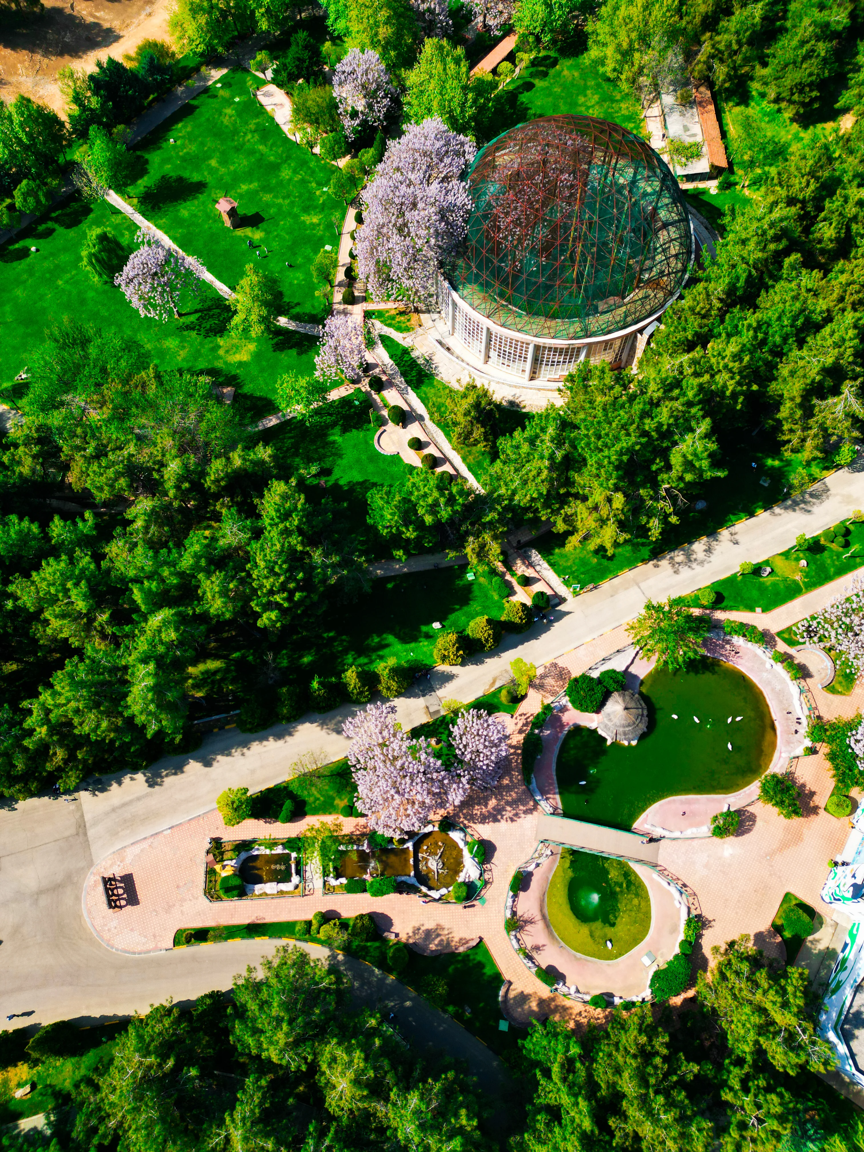 14-tepe çekimi kuş evi.webp