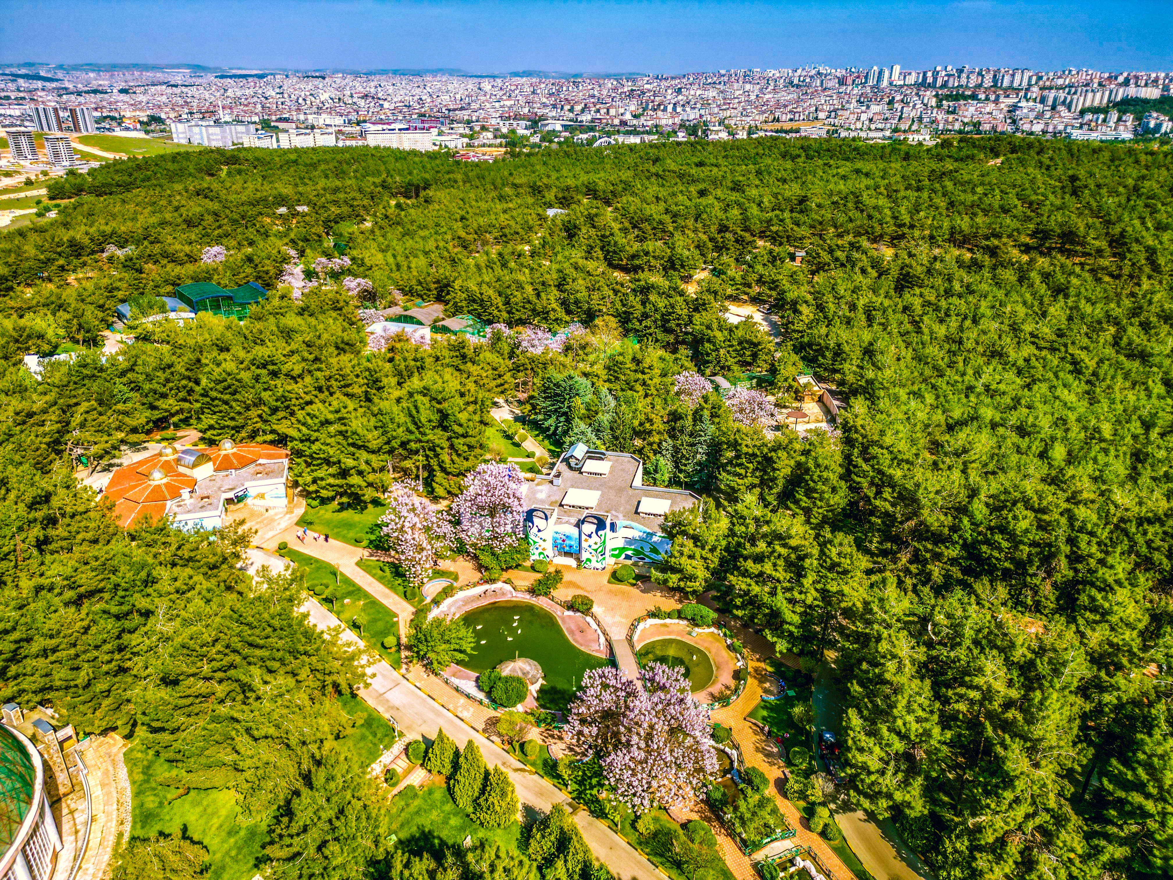 18-tepe çekimi-4.webp